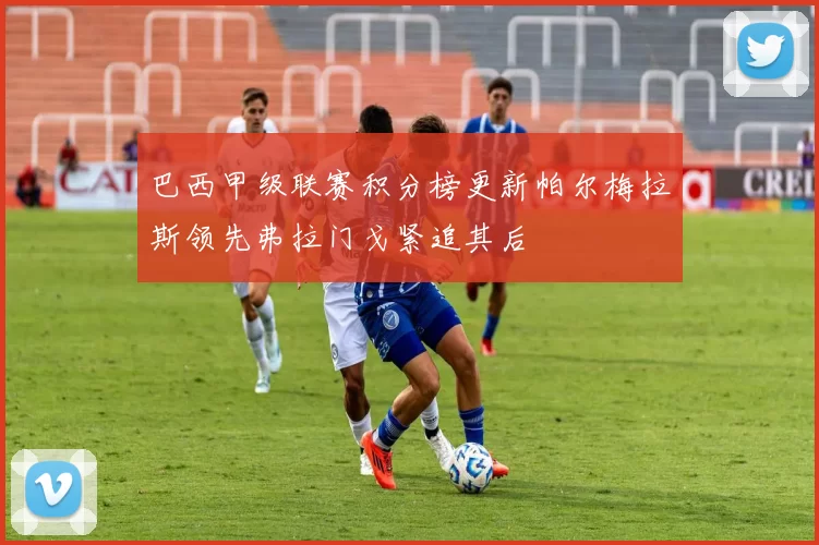 巴西甲级联赛积分榜更新帕尔梅拉斯领先弗拉门戈紧追其后