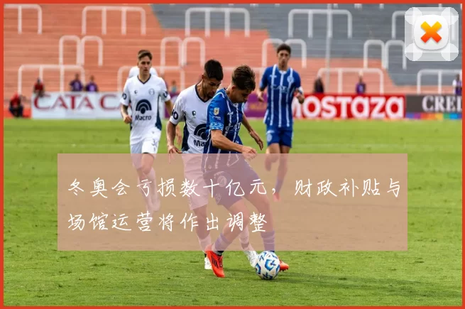 冬奥会亏损数十亿元，财政补贴与场馆运营将作出调整