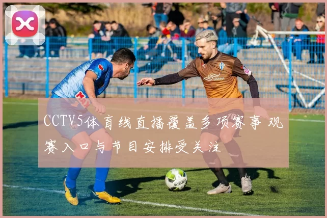 CCTV5体育线直播覆盖多项赛事 观赛入口与节目安排受关注