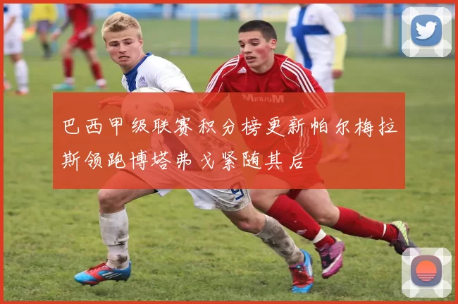 巴西甲级联赛积分榜更新帕尔梅拉斯领跑博塔弗戈紧随其后