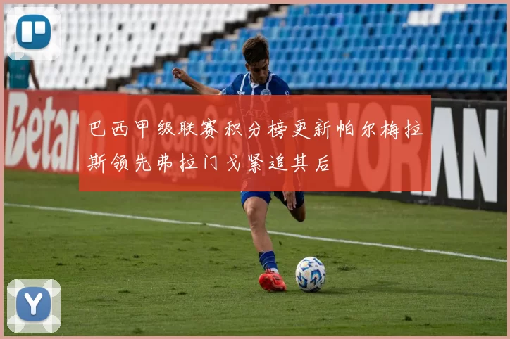 巴西甲级联赛积分榜更新帕尔梅拉斯领先弗拉门戈紧追其后