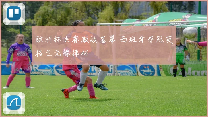 欧洲杯决赛激战落幕 西班牙夺冠英格兰无缘捧杯