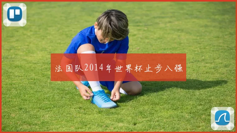 法国队2014年世界杯止步八强