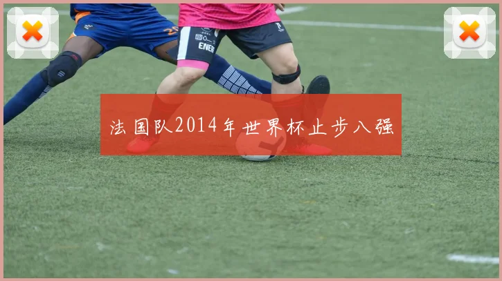 法国队2014年世界杯止步八强